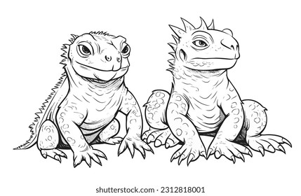 Vektorgrafik, Set Illustration von Iguana, Online-Kunst