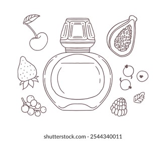 Vector illustration of a set with the image of a black and white sketch of a bottle of perfume with berry ingredients. Contour silhouette of aroma cosmetics with cherry, raspberry, fig and others.