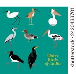 Vector Illustration of set of Indian water birds including Eurasian Spoonbill, Great Cormorant, Painted stork, Oyster Catcher, Pelican, Eurasian Curlew, Eurasian Wigeon, Grey Heron.