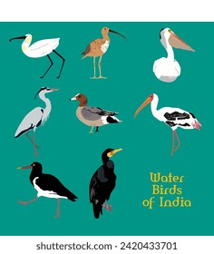 Vector Illustration of set of Indian water birds including Eurasian Spoonbill, Great Cormorant, Painted stork, Oyster Catcher, Pelican, Eurasian Curlew, Eurasian Wigeon, Grey Heron.