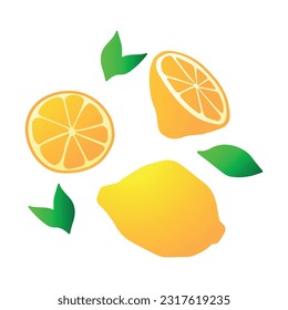 Vector illustration. Set of individual lemons and leaves. Sample. Whole and cut lemon.
