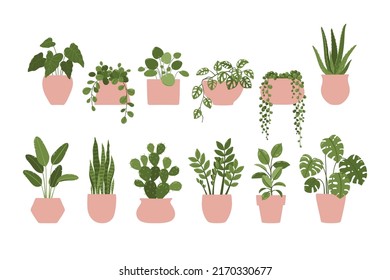 Ilustración vectorial de una planta interior de plantas en una olla. Aislado sobre fondo blanco.