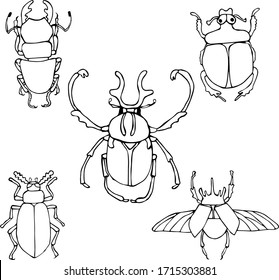 Vector illustration of a set of insect beetles in the Doodle style, black outline on an isolated white background. Can be used for books, Wallpapers, postcards, banners, fabrics, textiles