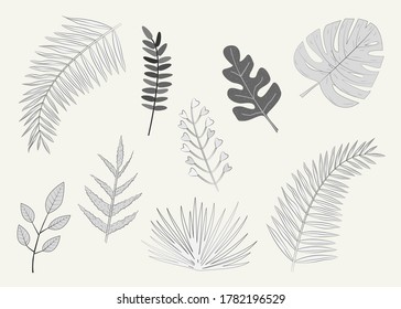 Vector illustration with set of isolated tropical leaves in sketch style on white background. Clipart for banner, invitation card, poster, advertisement of travel agency, decoration.
