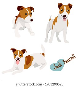 Vector illustration set of Jack Russell dog in different poses. Hand drawn on white background.