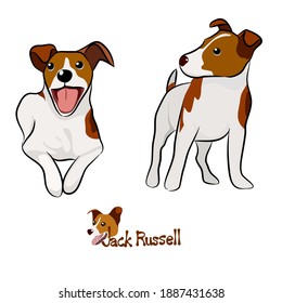Vector illustration set of Jack Russell dog in different poses. Hand drawn on white background.