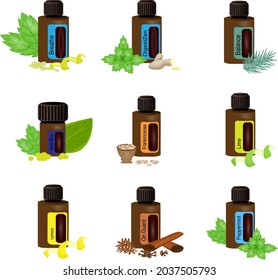 vector illustration of a set of jars of essential oils 