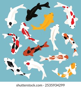 Ilustração vetorial de koi fish. Carpa japonesa e colorido koi oriental na Ásia conjunto de peixe-dourado chinês e pesca tradicional fundo isolado. Elemento gráfico do Koi fish