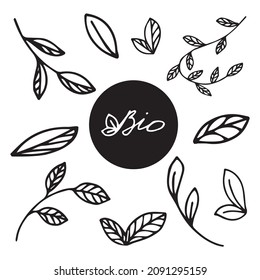 vector illustration set of a leafs  in doodle style
