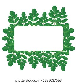 Vector illustration set of leaves in cartoon flat style design. Green leaf in different view position. elements set collection of green forest. Decorative beauty elegant illustration for design