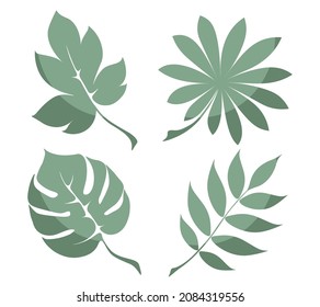 Ilustración vectorial. Conjunto de hojas de color verde. Elementos para la decoración de las postales. Estilo plano, hojas con sombra. Monstera, plantas tropicales y de campo.
