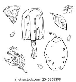 Ilustração vetorial conjunto de limões, flores, folhas e sementes desenhadas à mão em estilo doodle.
