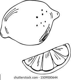 Vector illustration of a set of lemons. Suitable for all types of design.