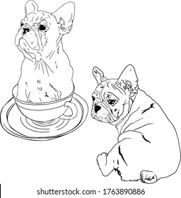 Ilustración vectorial de un buldog francés de línea fija. Perro de toro lindo en una taza, perro de toro francés de cuerpo entero. Para imprimir en objetos, logotipo, tiendas veterinarias, espacios en blanco para diseñadores. colorear libros