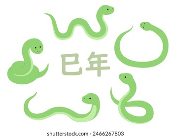 Vector illustration set of loose snakes. Zodiac signs, New Year's cards.Translation:Year of the Snake