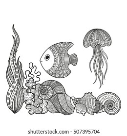 Vector illustration set of marine life fish, shell snail algae and corral coloring for adults. Underwater life of a coloring book, page black-and-white.
