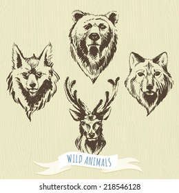 Ilustración vectorial Conjunto de animales forestales dibujados a mano con marcadores: lobo, oso, ciervo, zorro