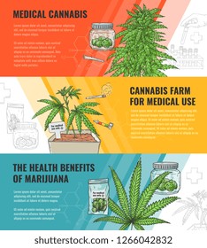 Vector illustration set of medical use and legalization of marijuana horizontal banners with hand drawn cannabis plant and leaf - concept of use in medicine and legal growth of sativa.