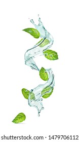 Vector Illustration Of A Set Of Mint Leaf Splash.