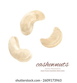 Vector illustration set of mixed nuts drawn by watercolor