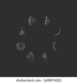 Vector illustration set of moon phases. Different stages of moonlight activity in vintage engraving style. Zodiac Signs