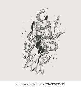 Vector illustration set of moon phases. Different stages of moonlight activity in vintage engraving style. Zodiac Signs