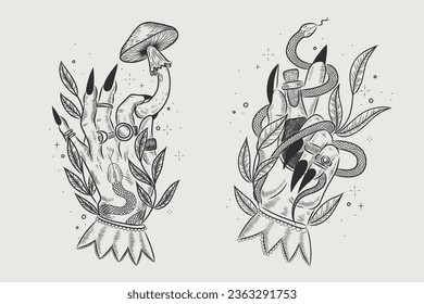 Vector illustration set of moon phases. Different stages of moonlight activity in vintage engraving style. Zodiac Signs