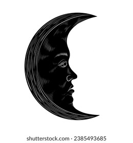 Ilustración vectorial de las fases de la luna. Diferentes etapas de actividad de la luna en estilo de grabado vintage. Signos Zodiac