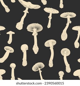 Vector illustration set of moon phases. Different stages of moonlight activity in vintage engraving style. Zodiac Signs