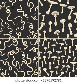Vector illustration set of moon phases. Different stages of moonlight activity in vintage engraving style. Zodiac Signs