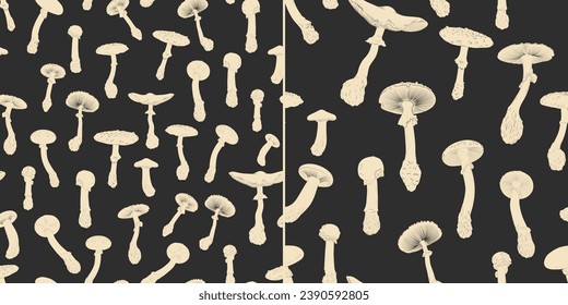 Vector illustration set of moon phases. Different stages of moonlight activity in vintage engraving style. Zodiac Signs