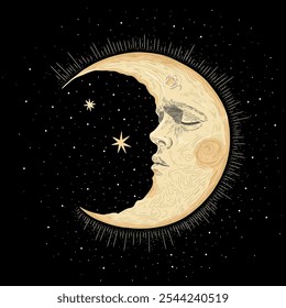 Vector illustration set of moon phases. Different stages of moonlight activity in vintage engraving style. Zodiac Signs	