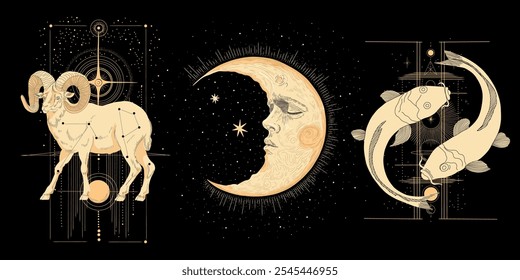 Vector illustration set of moon phases. Different stages of moonlight activity in vintage engraving style. Zodiac Signs