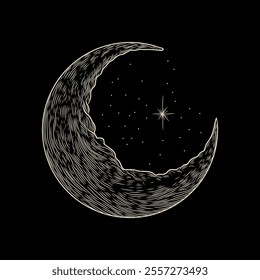 Vector illustration set of moon phases. Different stages of moonlight activity in vintage engraving style. Zodiac Signs	
