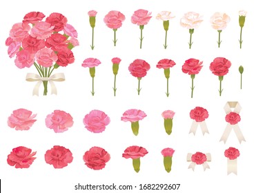 Vector illustration set of Mother's day. Carnation flowers.