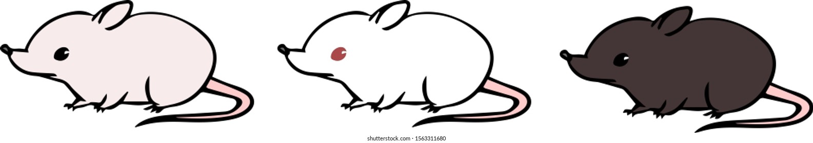 Vector illustration set of mouse