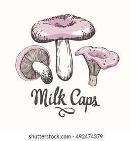 Vector illustration with set of mushrooms in sketch style. Hand-drawn milk caps on white background. Autumn forest harvest.