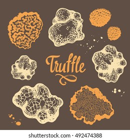 Vector illustration with set of mushrooms in sketch style. Hand-drawn truffle on brown background. Delicatessen French products. Autumn forest harvest.