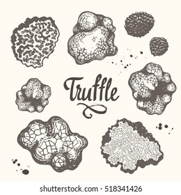 Vector illustration with set of mushrooms in sketch style. Hand-drawn truffle on brown background. Delicatessen French products. Autumn forest harvest.