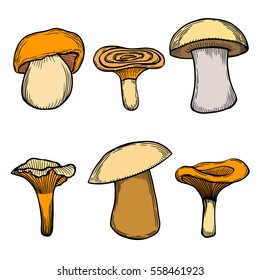 Vector illustration with set of mushrooms in sketch style.