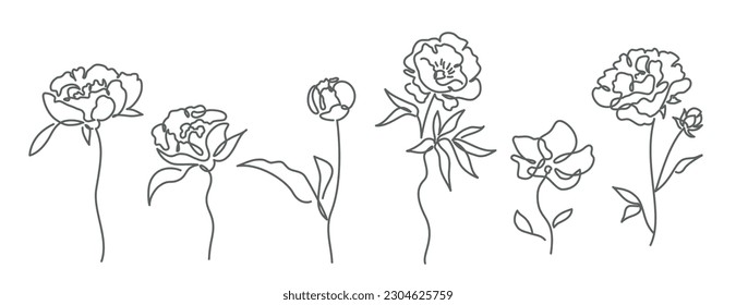 Vector illustration set of nature, flower. Hand drawn vector illustration.