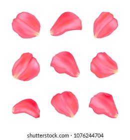 Beauty Pink Sakura Petals Set Vector Stock Vector (Royalty Free ...