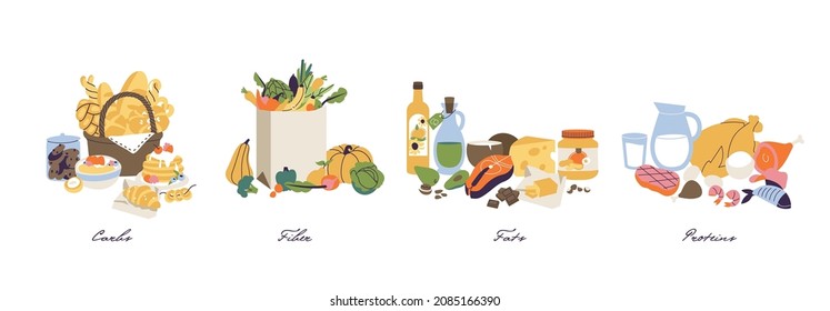 Vector illustration set of nutrition categories macronutrients. Fiber, proteins, fats and carbs illustrates in food products