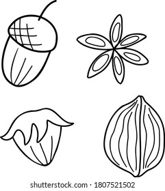 
vector illustration of a set of nuts