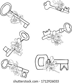 vector illustration set of old keys with flowers ona white background