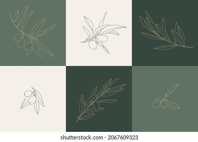 Vector illustration set of olive branches - simple linear style. Composition with olives