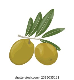 Vector illustration set of olive fruit in cartoon flat style design. Meditereanean olives with branch and green leaves. Healthy agriculture product organic farm. Logo, icon for packaging