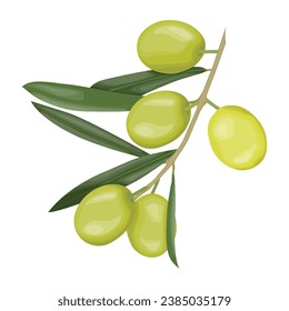 Ilustración vectorial de fruto de oliva en diseño de dibujos animados de estilo plano. Aceitunas mediterráneas con ramas y hojas verdes. Granja orgánica de productos agrícolas saludables. Logotipo, icono para el embalaje