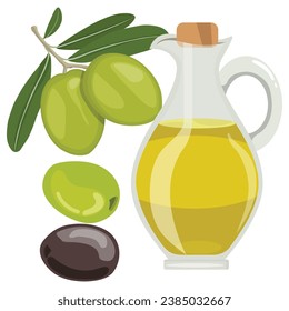 Vector illustration set of olive oil glass jar in cartoon flat style. Bottle green olives. Element design for menu, label, packaging. Single and set of raw green, black olive harvest