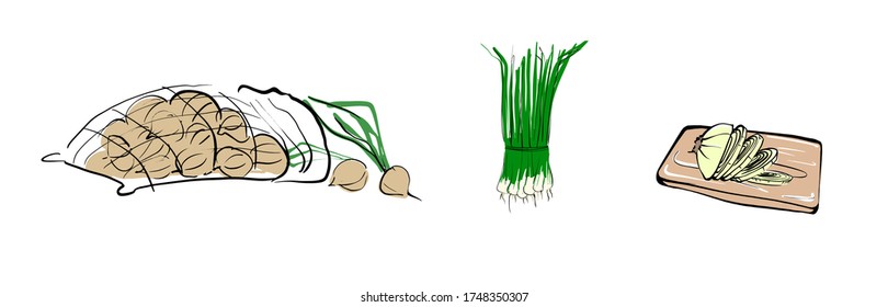 Vector illustration of a set of onions. Bow in a bundle. Sliced onions on a Board. Onion in a bag on an isolated white background.